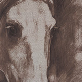Portrait of a Thoroughbred I by Mercana Studio a Framed Art Print Matted under Glass by Mercana at Eve Furniture