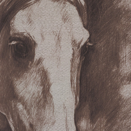 Portrait of a Thoroughbred I by Mercana Studio a Framed Art Print Matted under Glass by Mercana at Eve Furniture