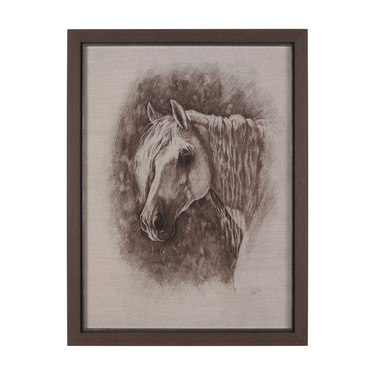 Portrait of a Thoroughbred I by Mercana Studio a Framed Art Print Matted under Glass by Mercana at Eve Furniture