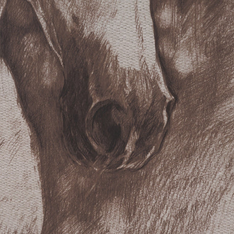 Portrait of a Thoroughbred II by Mercana Studio a Framed Art Print Matted under Glass by Mercana at Eve Furniture
