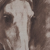 Portrait of a Thoroughbred II by Mercana Studio a Framed Art Print Matted under Glass by Mercana at Eve Furniture