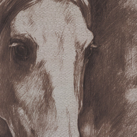 Portrait of a Thoroughbred II by Mercana Studio a Framed Art Print Matted under Glass by Mercana at Eve Furniture