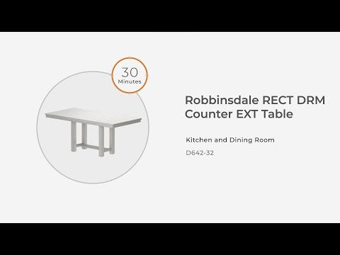Robbinsdale Antique White Counter Height Dining Extension Table