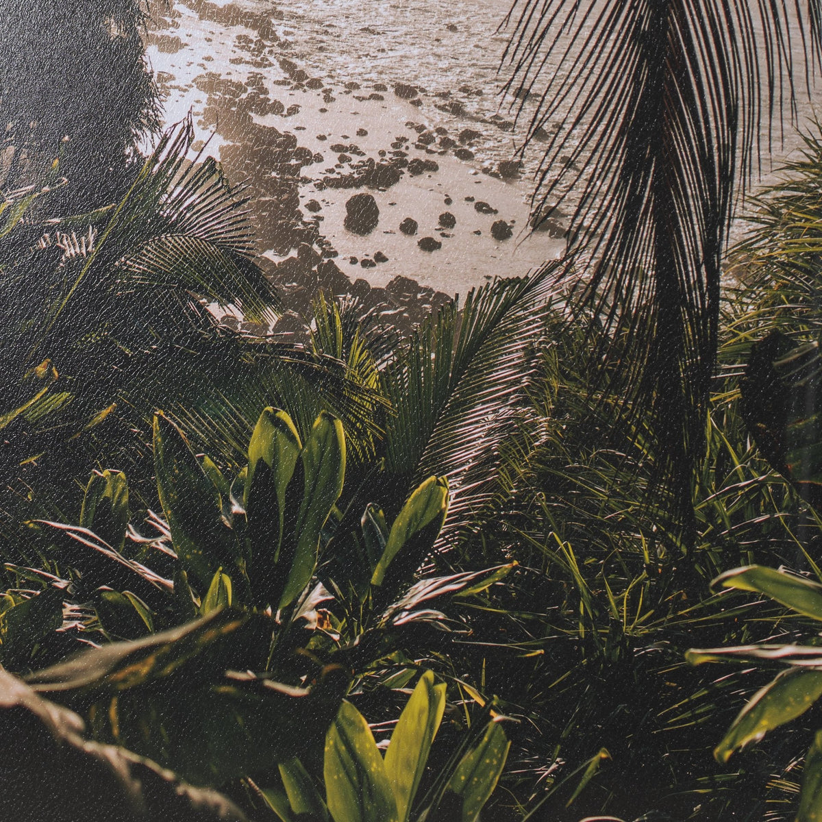 Princeville Kauai Jungle by Stefan and Audrey Textured Framed Photo Print Matted under Glass by Mercana at Eve Furniture