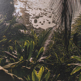 Princeville Kauai Jungle by Stefan and Audrey Textured Framed Photo Print Matted under Glass by Mercana at Eve Furniture
