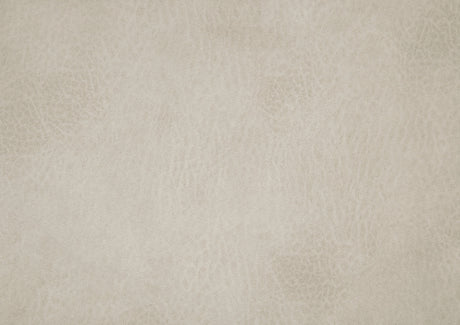 Proctor Pawter Power Double Reclining Living Room Set by Homelegance at Eve Furniture