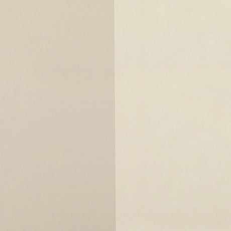 Alfalfa 2-Drawer Desk by TOV Furniture at Eve Furniture