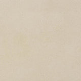 Darial Indoor / Outdoor Coffee Table by TOV Furniture at Eve Furniture