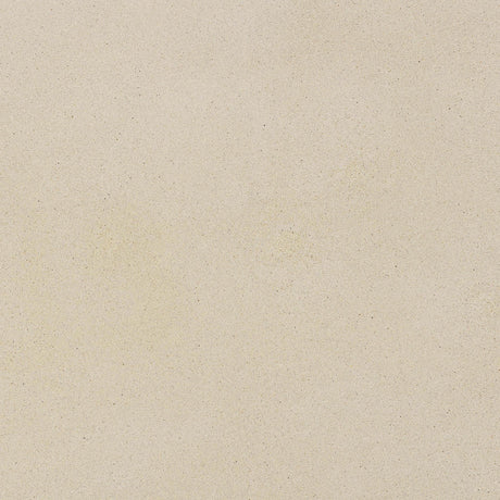 Darial Indoor / Outdoor Coffee Table by TOV Furniture at Eve Furniture