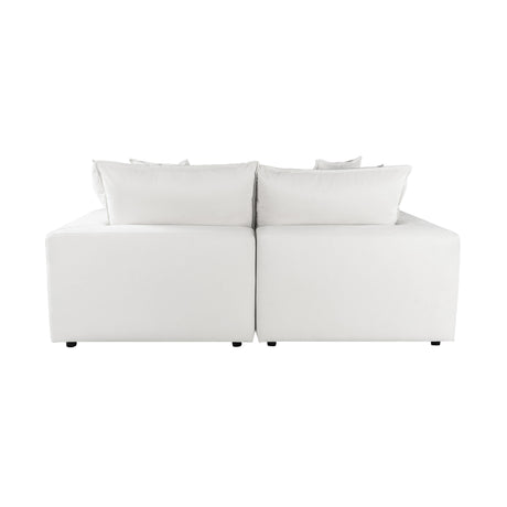 Cali Performance Fabric Modular Loveseat by TOV Furniture at Eve Furniture