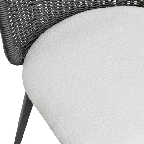 Alexa Rattan Performance Fabric Dining Chair by TOV Furniture at Eve Furniture