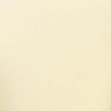 Solange Velvet Swivel Chair by TOV Furniture at Eve Furniture