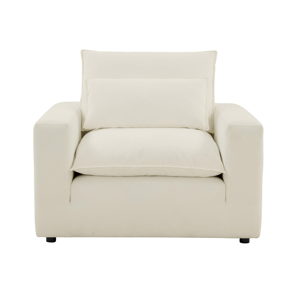 Cali Performance Fabric Armchair by TOV Furniture at Eve Furniture