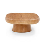 Darial Indoor / Outdoor Coffee Table by TOV Furniture at Eve Furniture