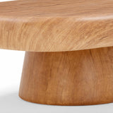 Darial Indoor / Outdoor Coffee Table by TOV Furniture at Eve Furniture