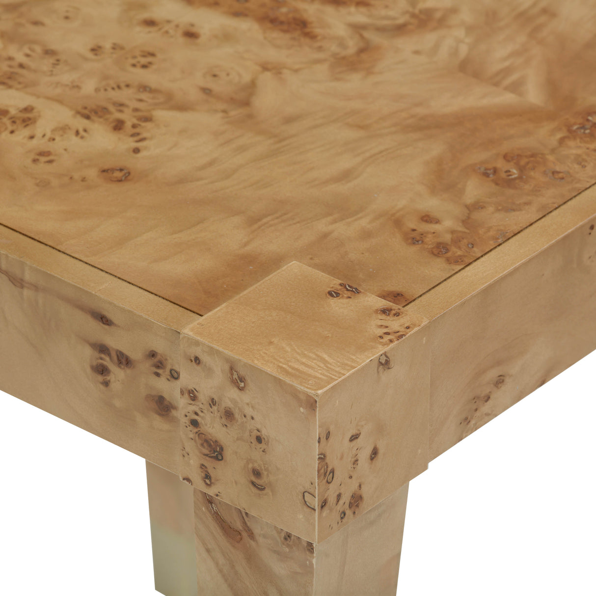 Brandyss Burl End Table by TOV Furniture at Eve Furniture