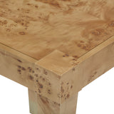 Brandyss Burl End Table by TOV Furniture at Eve Furniture