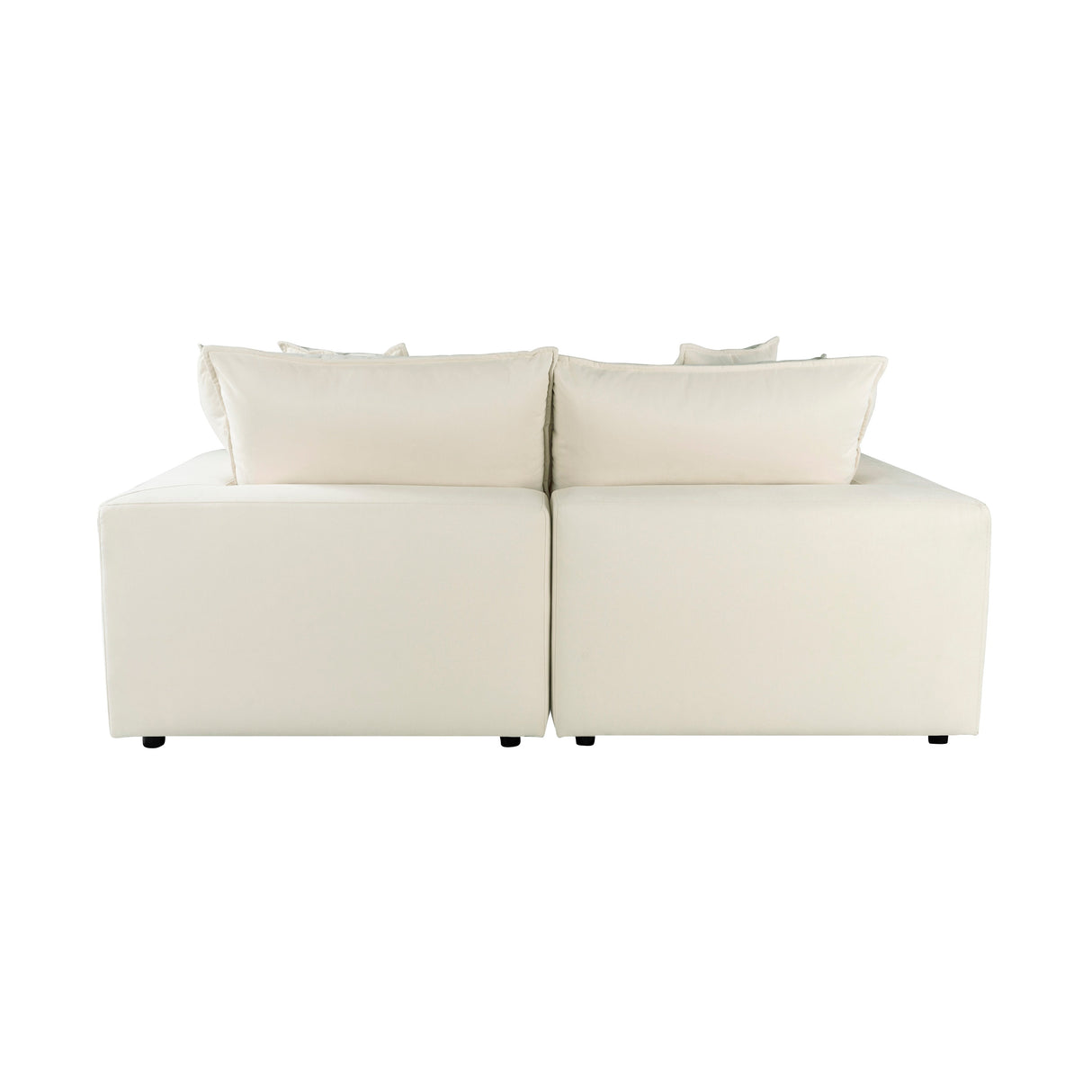 Cali Performance Fabric Modular Loveseat by TOV Furniture at Eve Furniture