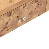 Brandyss Burl Console Table by TOV Furniture at Eve Furniture