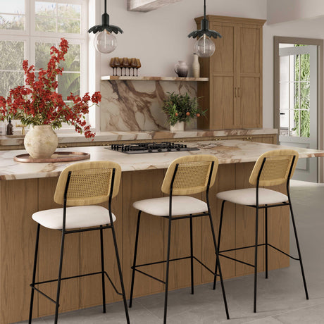 Anais Natural Rattan Counter Stool - Set of 2 by TOV Furniture at Eve Furniture