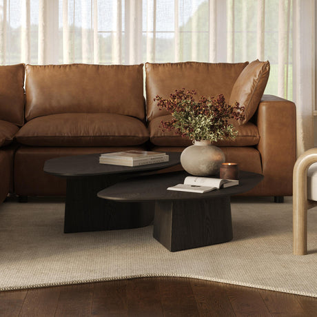 Roche Ash Nesting Coffee Table Set by TOV Furniture at Eve Furniture