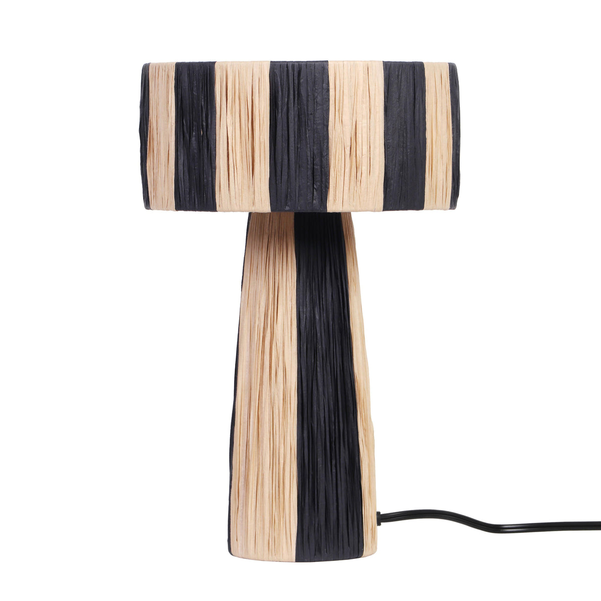 Shelby Raffia Table Lamp by TOV Furniture at Eve Furniture