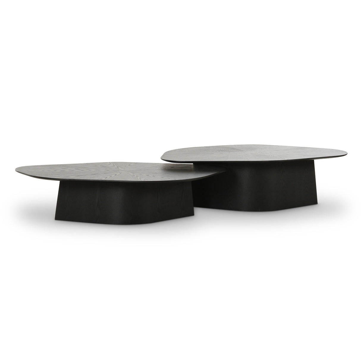 Roche Ash Nesting Coffee Table Set by TOV Furniture at Eve Furniture