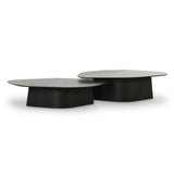 Roche Ash Nesting Coffee Table Set by TOV Furniture at Eve Furniture
