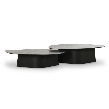 Roche Ash Nesting Coffee Table Set by TOV Furniture at Eve Furniture