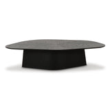 Roche Ash Low Coffee Table by TOV Furniture at Eve Furniture