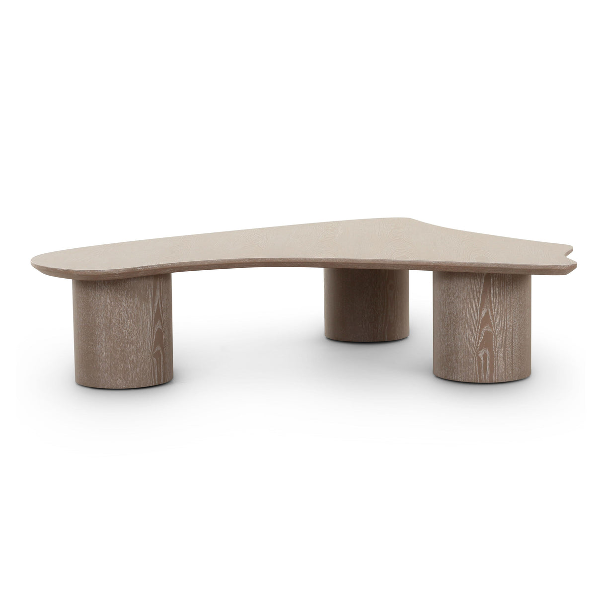 Rhema Washed Ash Organic Low Coffee Table by TOV Furniture at Eve Furniture