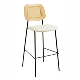 Anais Natural Rattan Counter Stool - Set of 2 by TOV Furniture at Eve Furniture