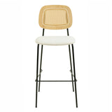 Anais Natural Rattan Counter Stool - Set of 2 by TOV Furniture at Eve Furniture