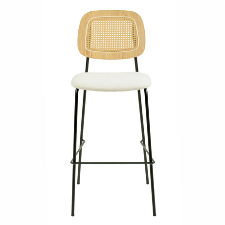 Anais Natural Rattan Counter Stool - Set of 2 by TOV Furniture at Eve Furniture