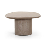 Rhema Washed Ash Oblong Coffee Table by TOV Furniture at Eve Furniture