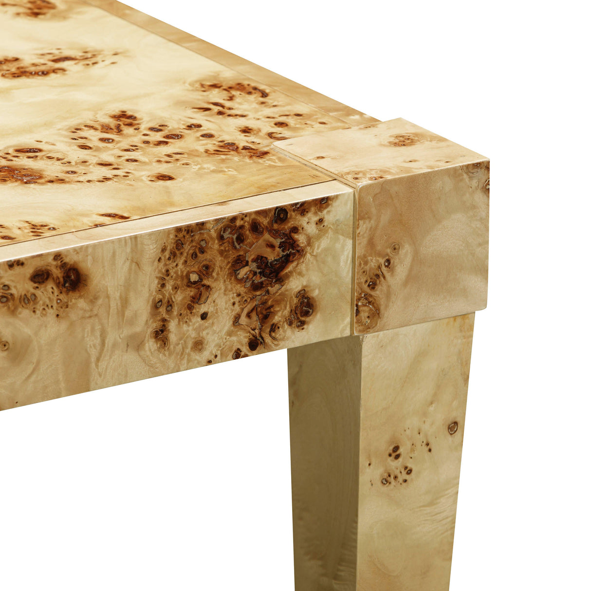Brandyss Burl End Table by TOV Furniture at Eve Furniture