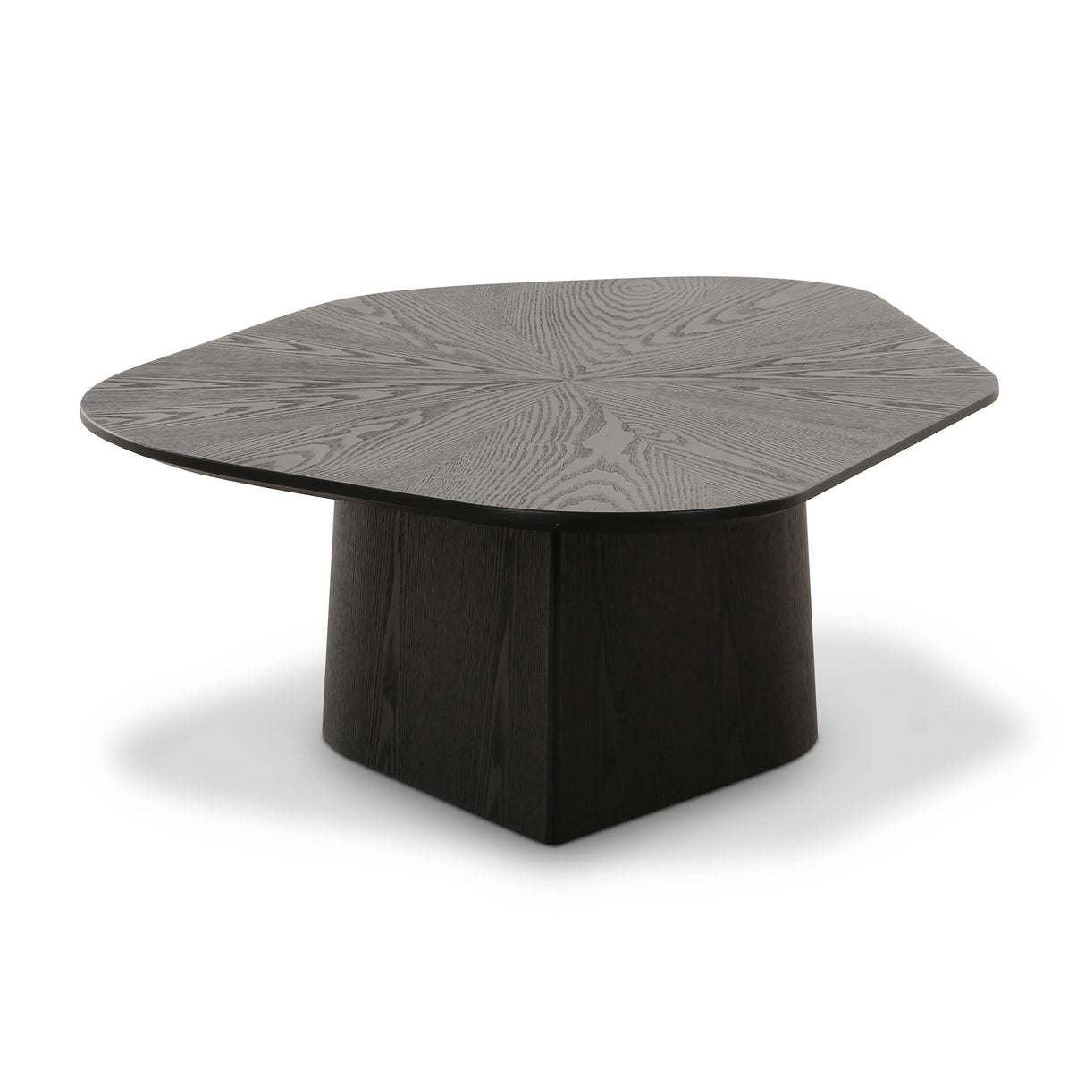 Roche Ash Low Coffee Table by TOV Furniture at Eve Furniture