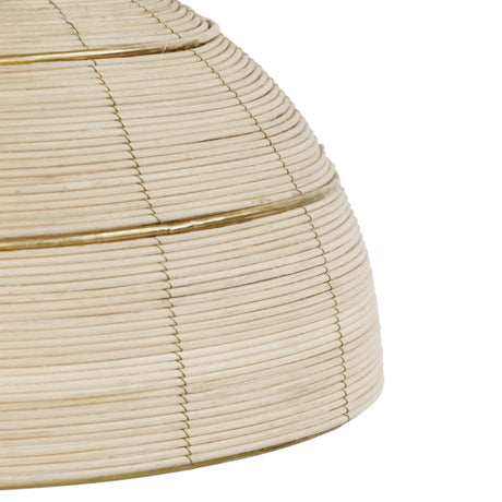 Lydia Rattan Pendant Lamp by TOV Furniture at Eve Furniture