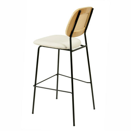 Anais Natural Rattan Counter Stool - Set of 2 by TOV Furniture at Eve Furniture