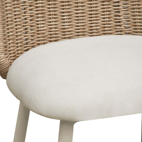Alexa Rattan Performance Fabric Dining Chair by TOV Furniture at Eve Furniture