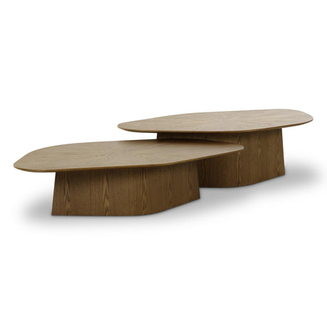Roche Ash Nesting Coffee Table Set by TOV Furniture at Eve Furniture