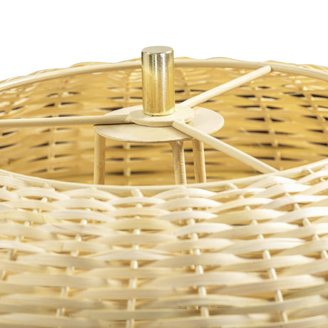 Kootu Natural Rattan Floor Lamp by TOV Furniture at Eve Furniture