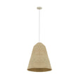 Aylin Natural Grass Pendant Lamp by TOV Furniture at Eve Furniture