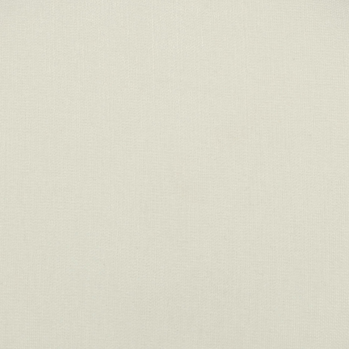 Zoe Cream Chenille Storage Ottoman by TOV Furniture at Eve Furniture