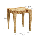 Brandyss Burl End Table by TOV Furniture at Eve Furniture
