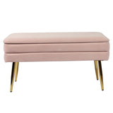 Ziva Velvet Storage Bench by TOV Furniture at Eve Furniture