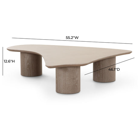 Rhema Washed Ash Organic Low Coffee Table by TOV Furniture at Eve Furniture