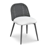 Alexa Rattan Performance Fabric Dining Chair by TOV Furniture at Eve Furniture