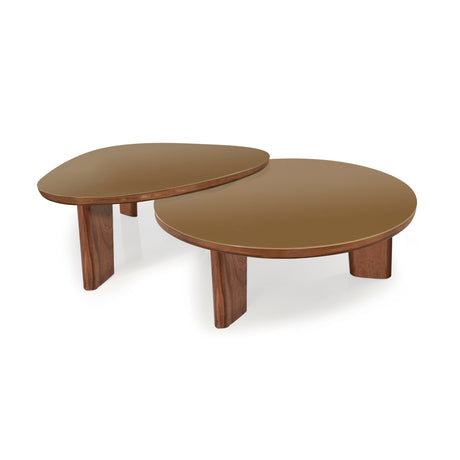 Oani Walnut and Glass Triangular Coffee Table by TOV Furniture at Eve Furniture