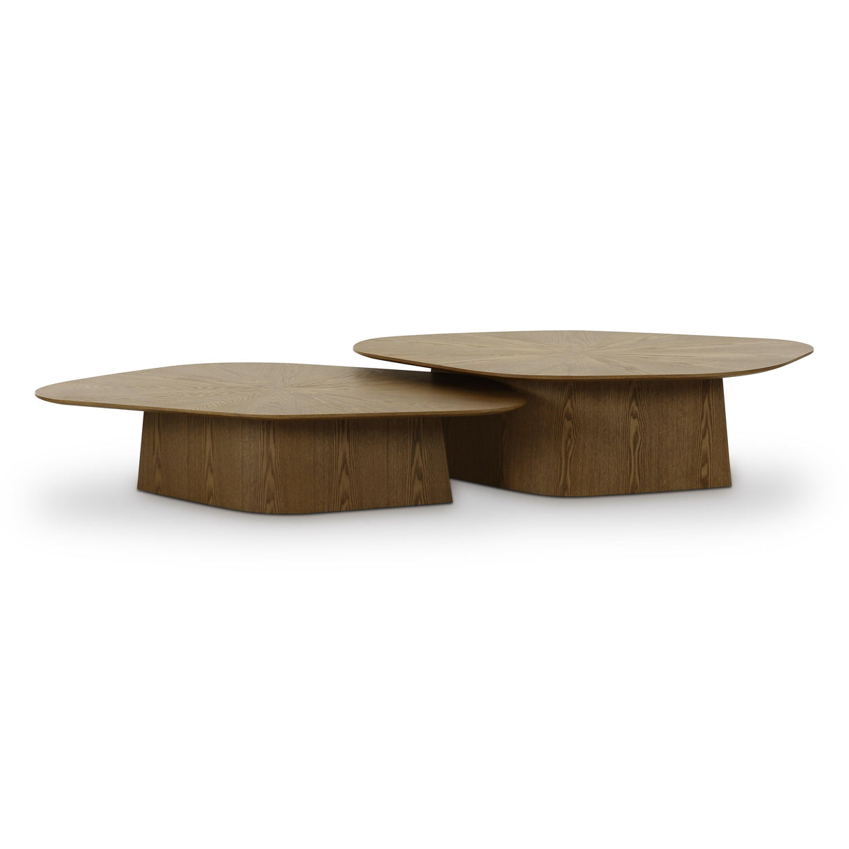 Roche Ash Nesting Coffee Table Set by TOV Furniture at Eve Furniture